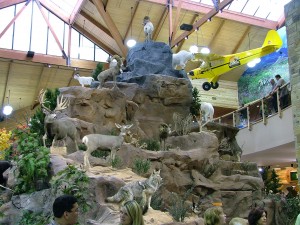 Rockwork exhibit